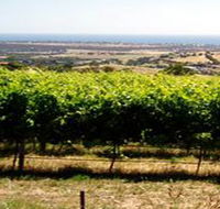 Braydun Hill Vineyard - Inverell Accommodation