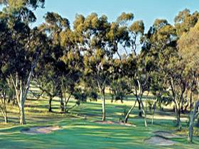 Tanunda Pines Golf Club - Inverell Accommodation 0
