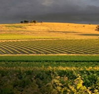Kellermeister Wines - Inverell Accommodation