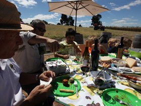 God's Hill Wines - Inverell Accommodation 0