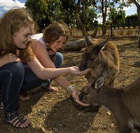 Kangaroo Island Wildlife Park - Inverell Accommodation