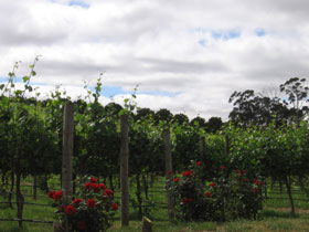  Inverell Accommodation