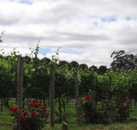 Manyara Vineyard - Inverell Accommodation