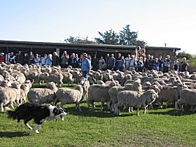  Inverell Accommodation