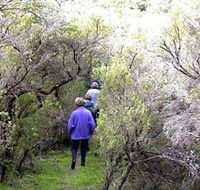 Jack And Hilda McArthur Walk - Inverell Accommodation