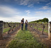 Coonawarra Wineries Walking Trail - Inverell Accommodation