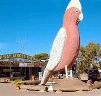 The Big Galah - Inverell Accommodation