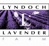 Lyndoch Lavender Farm and Cafe - Inverell Accommodation