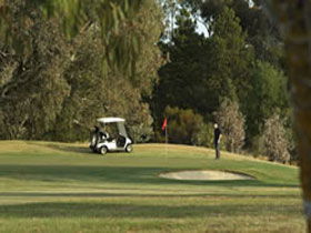 Barossa Valley Golf Club Incorporated - Inverell Accommodation 0
