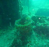 Wallaroo Scuba Club - Inverell Accommodation
