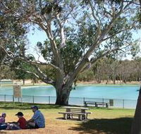 Naracoorte Nature Park and Swimming Lake - Inverell Accommodation