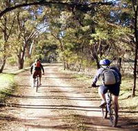Bike About Mountain Bike Tours And Hire - Inverell Accommodation