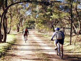 Bike About Mountain Bike Tours And Hire - Inverell Accommodation 0