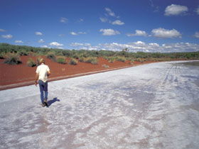 Lake Gairdner National Park - Inverell Accommodation 0