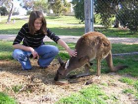 Shaugh SA Inverell Accommodation
