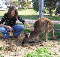 Pendleton Farmstay - Inverell Accommodation