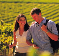 Lady Bay Vineyard - Inverell Accommodation