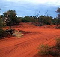 Tallaringa Conservation Park - Inverell Accommodation