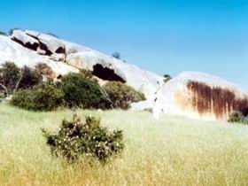 Ucontitchie Hill - Inverell Accommodation 0