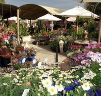 Serenity Nursery - Inverell Accommodation