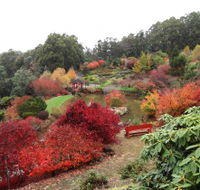 Emu Valley Rhododendron Garden - Inverell Accommodation
