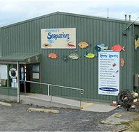 Stanley Seaquarium - Inverell Accommodation