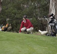 Tasmania Golf Club - The - Inverell Accommodation