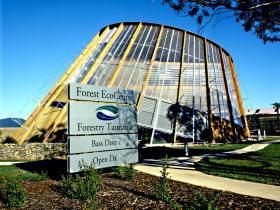 Scottsdale TAS Inverell Accommodation