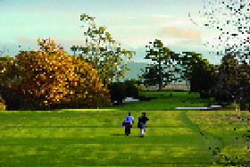 Selbourne TAS Inverell Accommodation