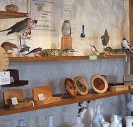 Touchwood Craft Gallery Gifts and Cafe - Inverell Accommodation