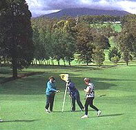 Deloraine Golf Course - Inverell Accommodation