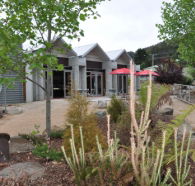 Tin Dragon Interpretation Centre and Cafe - Inverell Accommodation