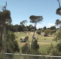 Greens Beach Golf Course - Inverell Accommodation