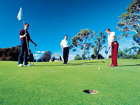 South Arm RSL Golf Course - Inverell Accommodation 0