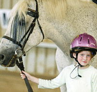 Gooromon Park Riding Centre  - Inverell Accommodation