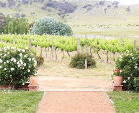 Brindabella Hills Winery - Inverell Accommodation 0