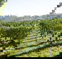 Surveyor's Hill Vineyards - Inverell Accommodation