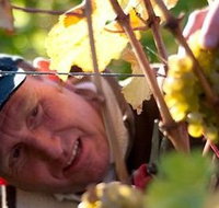 Puddleduck Vineyard - Inverell Accommodation