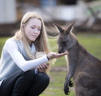 Bonorong Wildlife Sanctuary - Inverell Accommodation