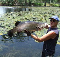 Barra Feeding - Inverell Accommodation