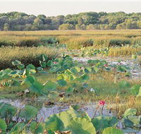 Fogg Dam Conservation Reserve - Inverell Accommodation