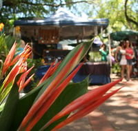 Nightcliff Markets - Inverell Accommodation