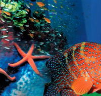 Indo Pacific Marine - Inverell Accommodation