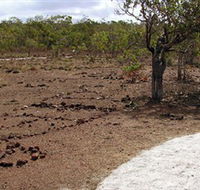 Wurrwurrwuy Garanhan Macassan Beach Interpretive Walk - Inverell Accommodation