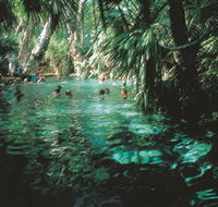 Mataranka Thermal Pool - Inverell Accommodation