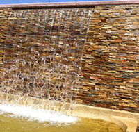 Howard Springs Nature Park - Inverell Accommodation