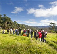 Apple Tree Park - Inverell Accommodation