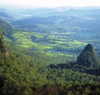 Springbrook Plateau Springbrook National Park - Inverell Accommodation