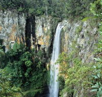 Gondwana Rainforests of Australia - Inverell Accommodation