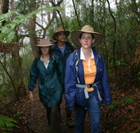 Mount Cougal Springbrook National Park - Inverell Accommodation